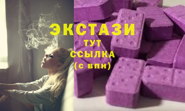 ECSTASY Алзамай