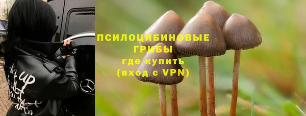 мескалин Алексин