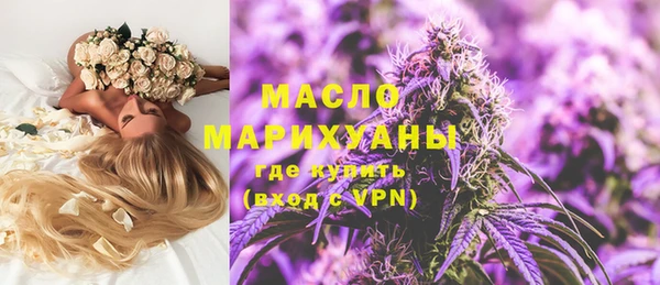 ECSTASY Алзамай